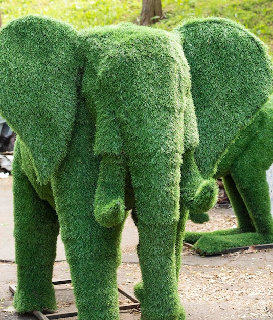 Foto elefante creato da cespugli decorazione del giardino figure giardini topiaria statue da giardino scultore