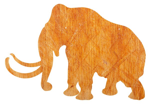 Elephant silhouette with wood texture isolated on white background