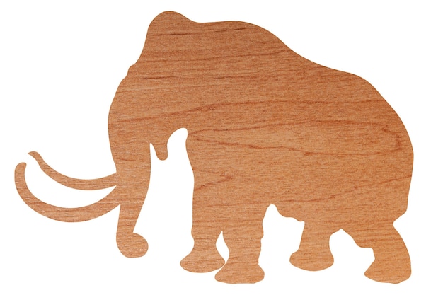 Photo elephant silhouette with wood texture isolated on white background