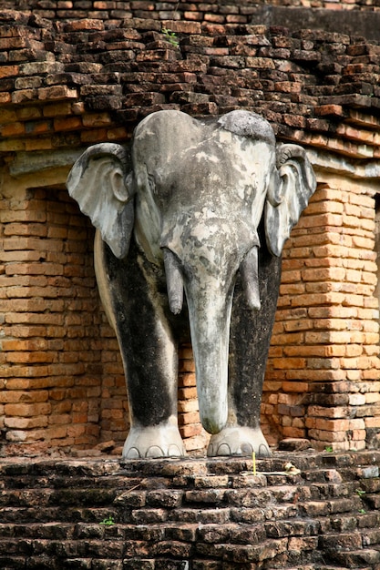 사진 수호타이 의  <unk> 롬 에 있는 코끼리 동상