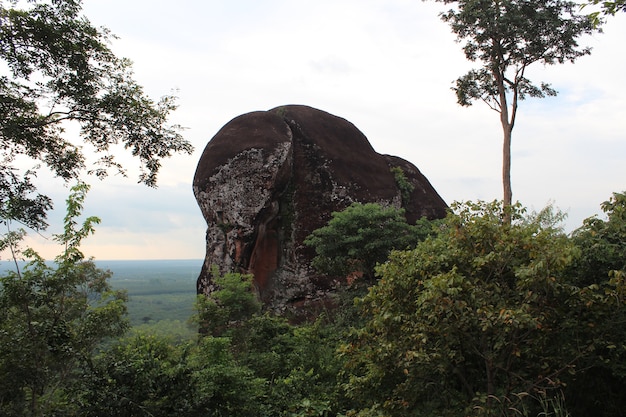 タイの象の石