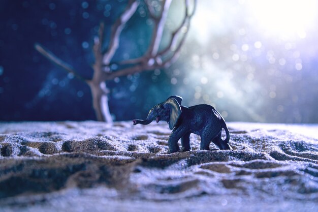 Elephant walks through the dry desert at night Creative scenery with a small miniature Global warming