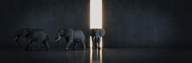 끝에 빛이 있는 어두운 방의 코끼리