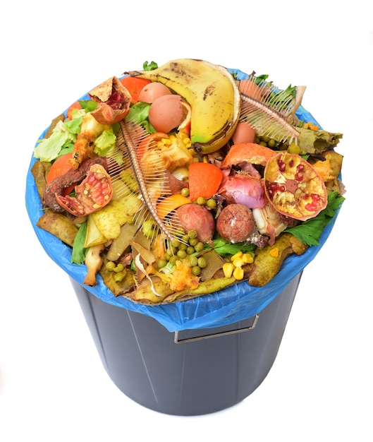 Elevated view of a compost bin