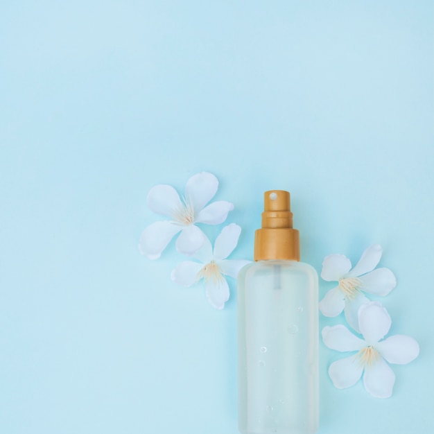 Elevated view of perfume bottle and white flowers on blue surface