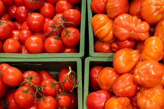 Elevated view to two different sorts of sweet delicious organic tomatoes, with green end and without.