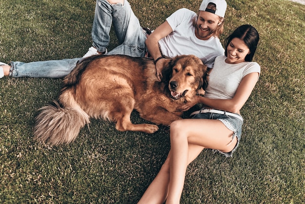 Elkaar blij maken. Bovenaanzicht van een jong modern stel dat met hun hond op het gras ligt terwijl ze vrije tijd in het park doorbrengen