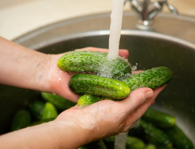 Elke biologische komkommer wordt voor het inblikken grondig gewassen in stromend water