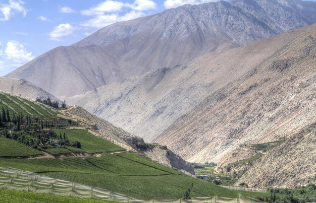 Elqui vallei chili