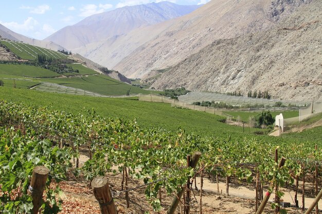 Elqui Valley Chile