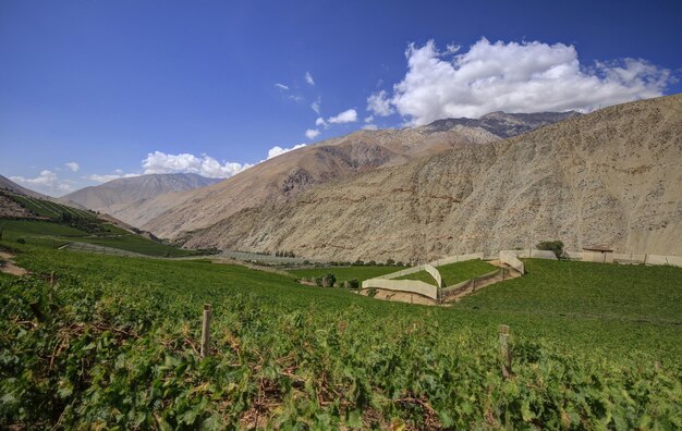 Elqui Valley Chile