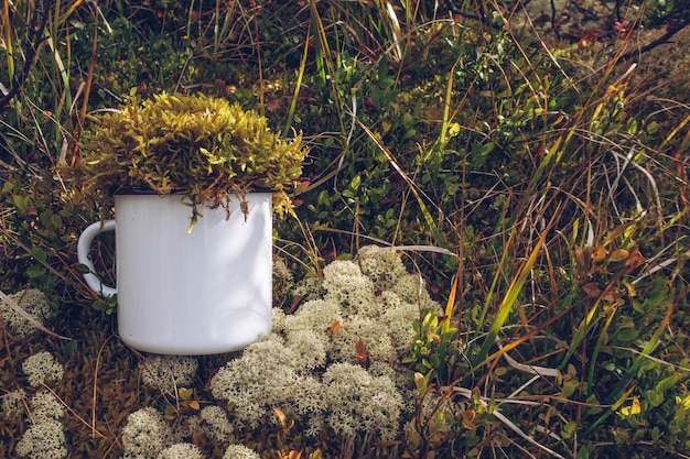 Emaille witte mok in de rendiermos korstmos twijgen en dennennaalden achtergrond Trekking merchandise en kampeeruitrusting marketing foto Witmetalen beker Rustieke scène mockup sjabloon