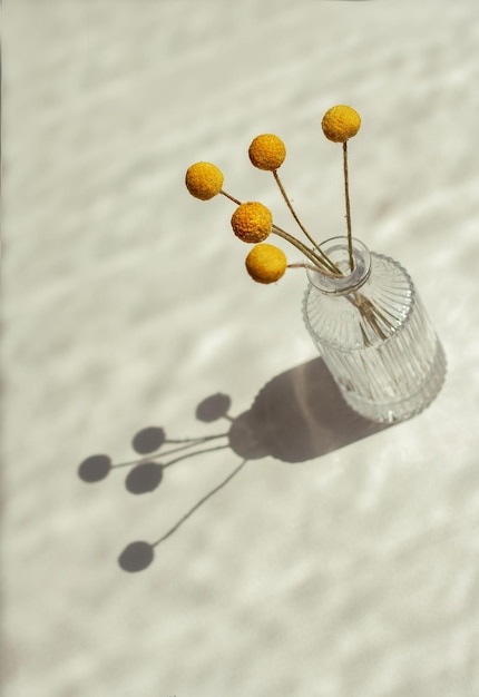 Foto vaso moderno sbalzato con fiori secchi e parasole