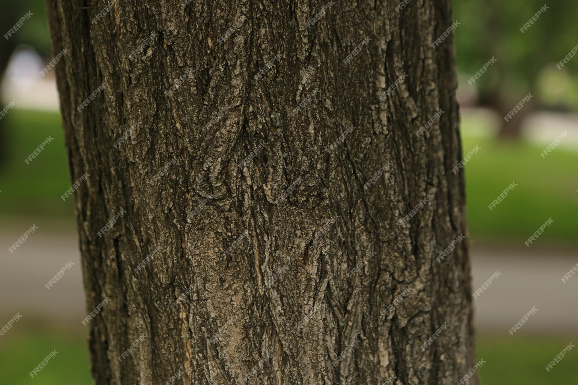 Premium Photo | Embossed texture of the brown bark of a tree