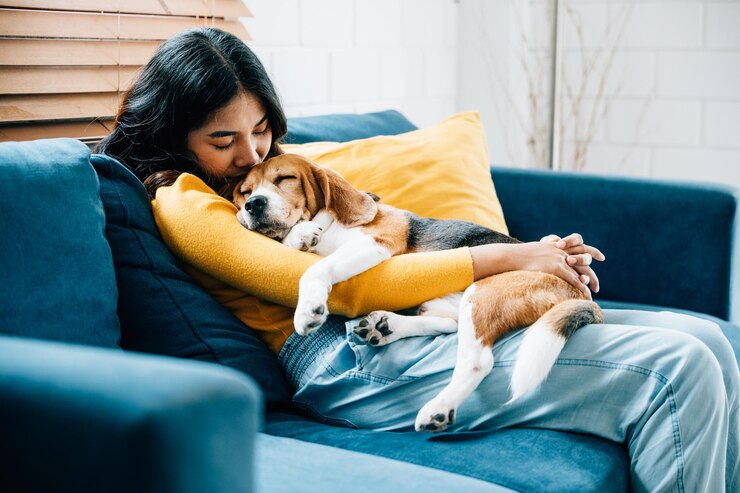 Photo 信頼と愛の本質を抱きしめる 若いアジア人女性と彼女のビーグル犬が リビングルームのソファーで一緒に寝ている 彼らの ⁇ と結束を強調する ペットの愛