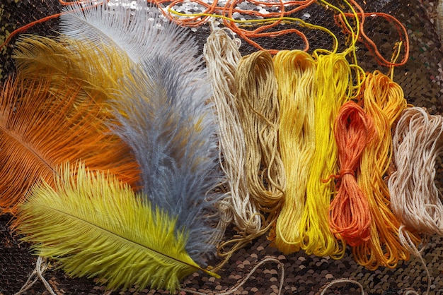 Embroidery cotton threads multi colors and fluffy ostrich\
feathers on a pillow with gold sequins