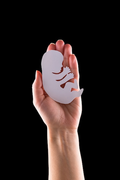 Photo embryo silhouette in woman hand