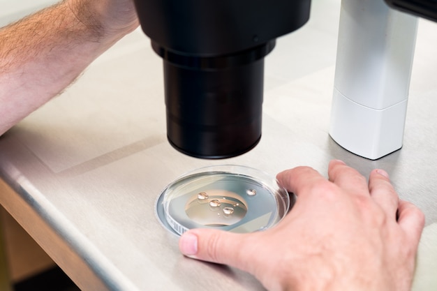 Embryologist or lab technician adjusting needle to fertilize a human egg under the microscope. Doctor adding sperm to egg using microscope. IVF Fertility Lab. Medicine concept.