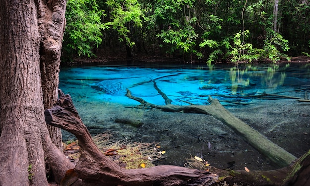 Stagno blu smeraldo (sra morakot) nella provincia di krabi, tailandia