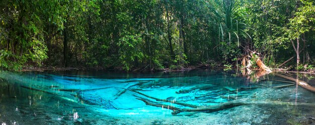 Photo emerald blue pool