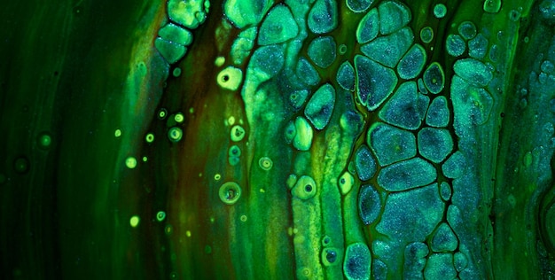 Emerald Flow