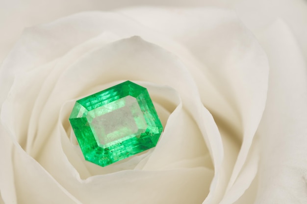 Emerald Gemstone on White Rose Petals