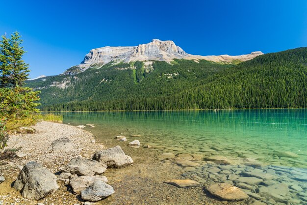 Lago di smeraldo in estate con foreste e montagne alle spalle