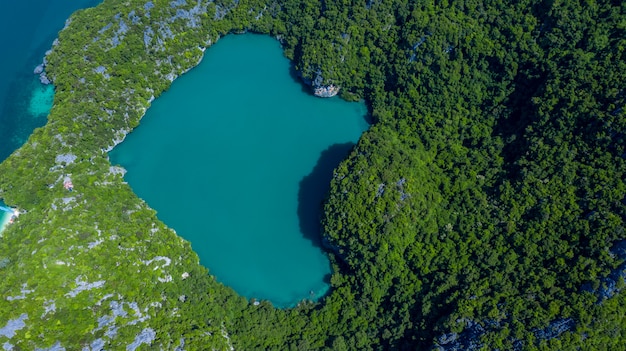 メーコー島のエメラルド湖またはタレイナイ、山の真ん中にある美しい自然の海、生態系と健康的な環境、ムーコアントン国立公園、サムイ、スラーターニー、タイ。