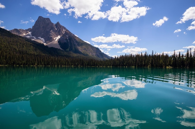 Emerald Lake tijdens een levendige zonnige zomerdag