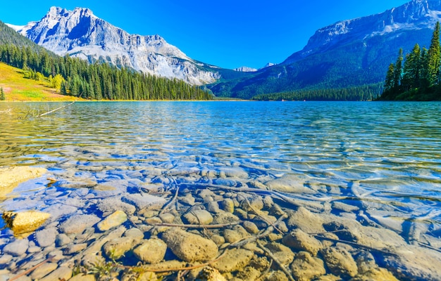 Photo emerald lake, yoho national park in canada