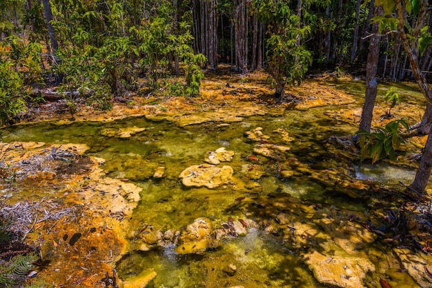 Emerald Pool Yosemite National Park Krabi Thailand Gedroogde rivier