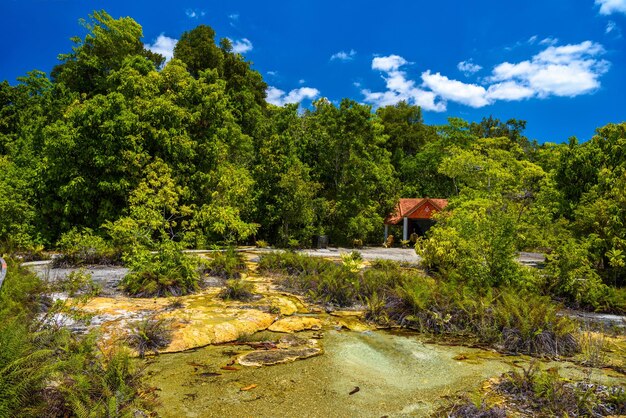 Emerald Pool Yosemite National Park Krabi Thailand Tress in