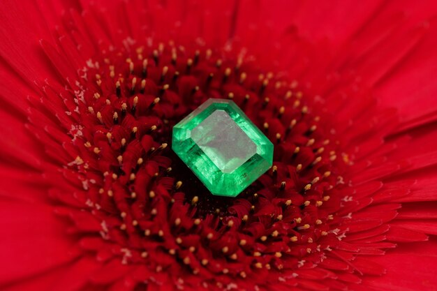 Emerald stone on pink rose flower petals