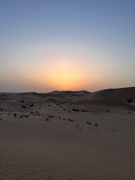 Emirati sunset