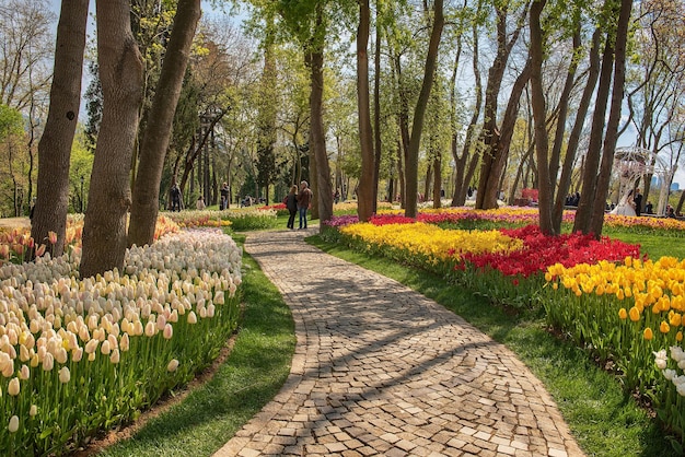 Emirgan park istanbul