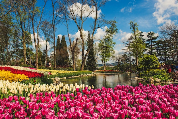 Emirgan Park Istanbul