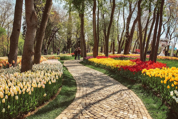 Emirgan Park Istanbul