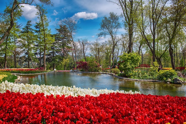 Emirgan Park Istanbul