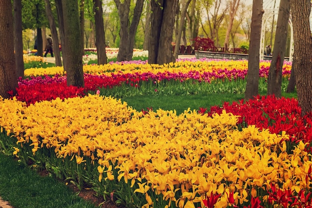 Emirgan Park Istanbul