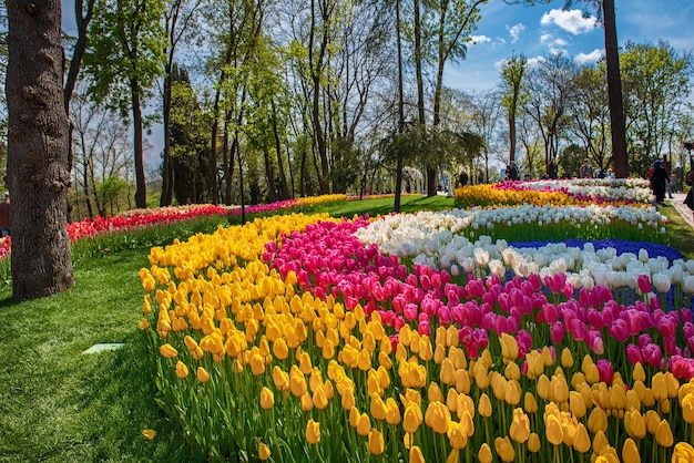 エミルギャン公園イスタンブール