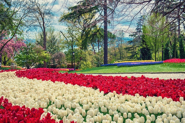 Foto emirgan park istanbul