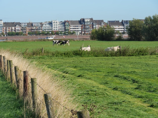 Emmerich en de Rijn