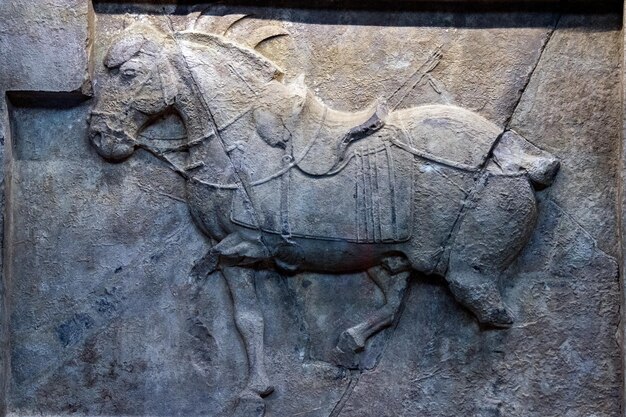 Emperor taizong horse bas relief