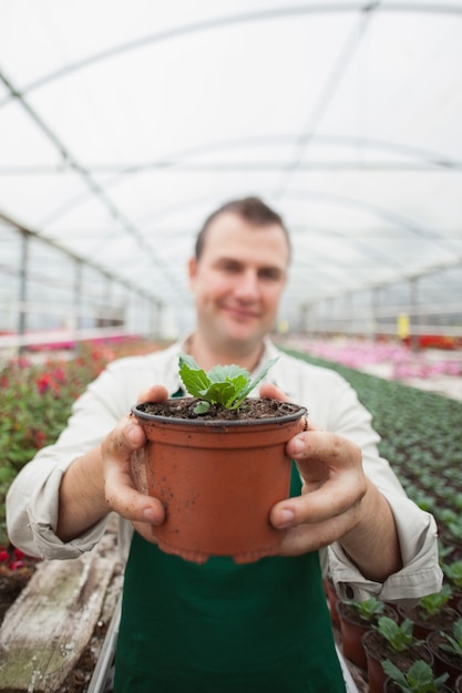 Employee holding up potted plant