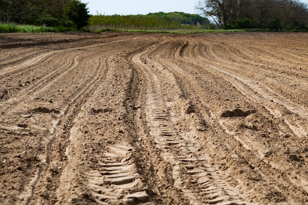 Empty agricultural field Agriculture and economy Farm and farmland