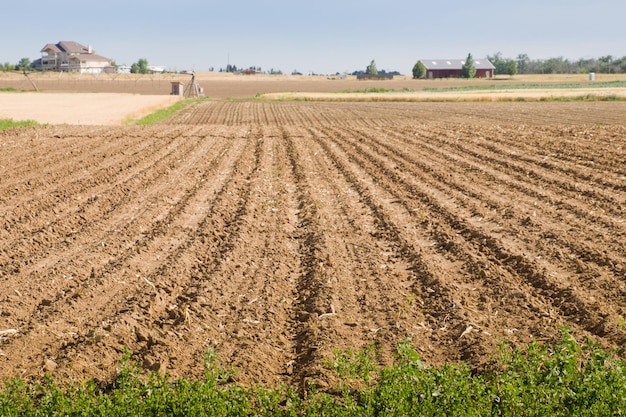 Empty agricultural field.