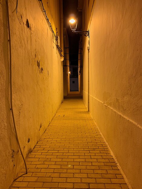 Empty alley amidst buildings at night