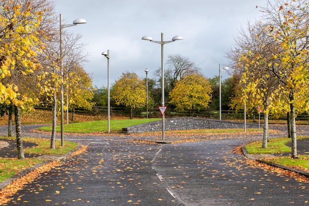 Empty asphalt road in autumn with fallen leafs.