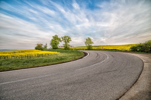 Empty asphalt road and floral field of yellow flowers.