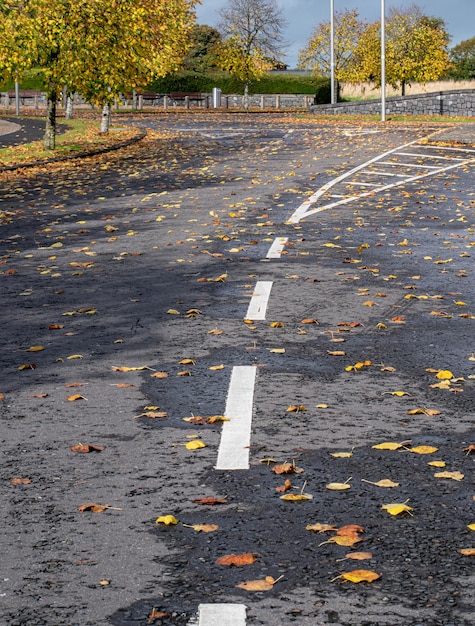 Empty asphalt road with foliage on surface